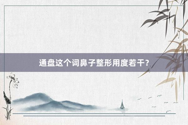 通盘这个词鼻子整形用度若干？